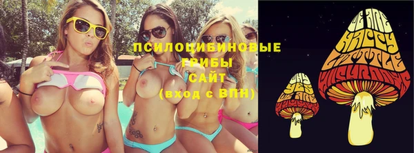 стафф Волоколамск