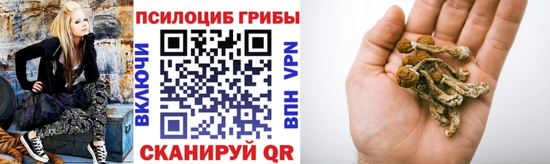 Псилоцибиновые грибы GOLDEN TEACHER  Снежинск 